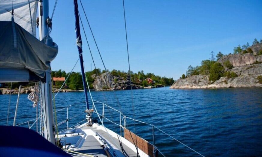 Vom kackenden Elch zur schweigenden Robbe