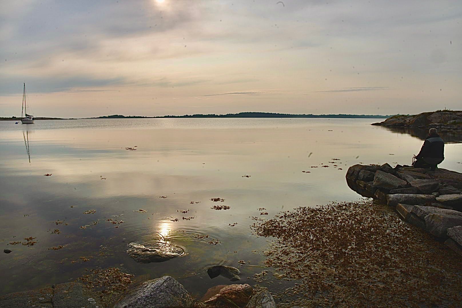 Von den Kegelrobben zum Wollgras sicher gesteuert