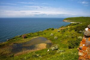 Mehr über den Artikel erfahren Mit van Gogh auf dem Hammerweg