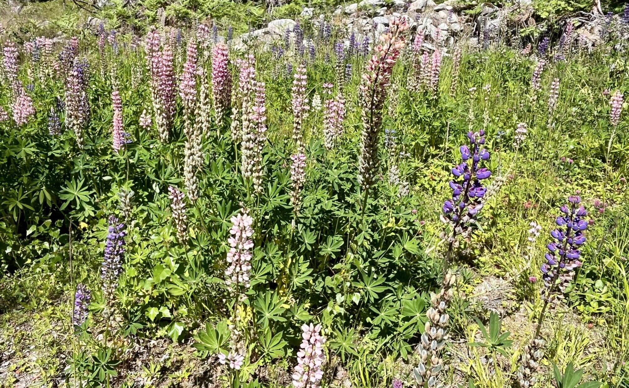 Gemütliches Segeln nach Sturmgetöse