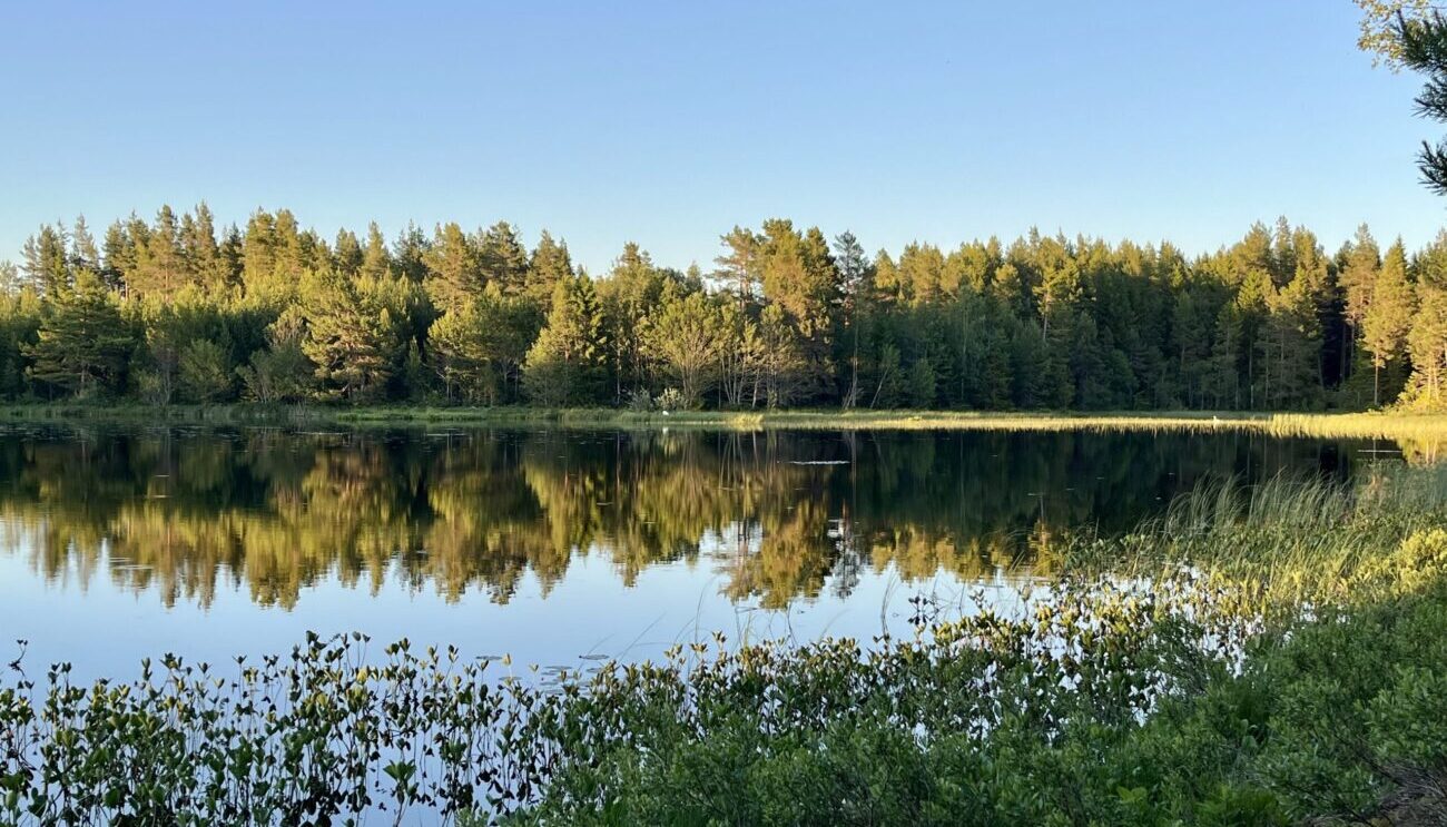 Kein zuverlässiger Segelwind in Sicht