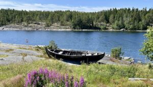 Mehr über den Artikel erfahren Weiter geht’s im Schneckentempo