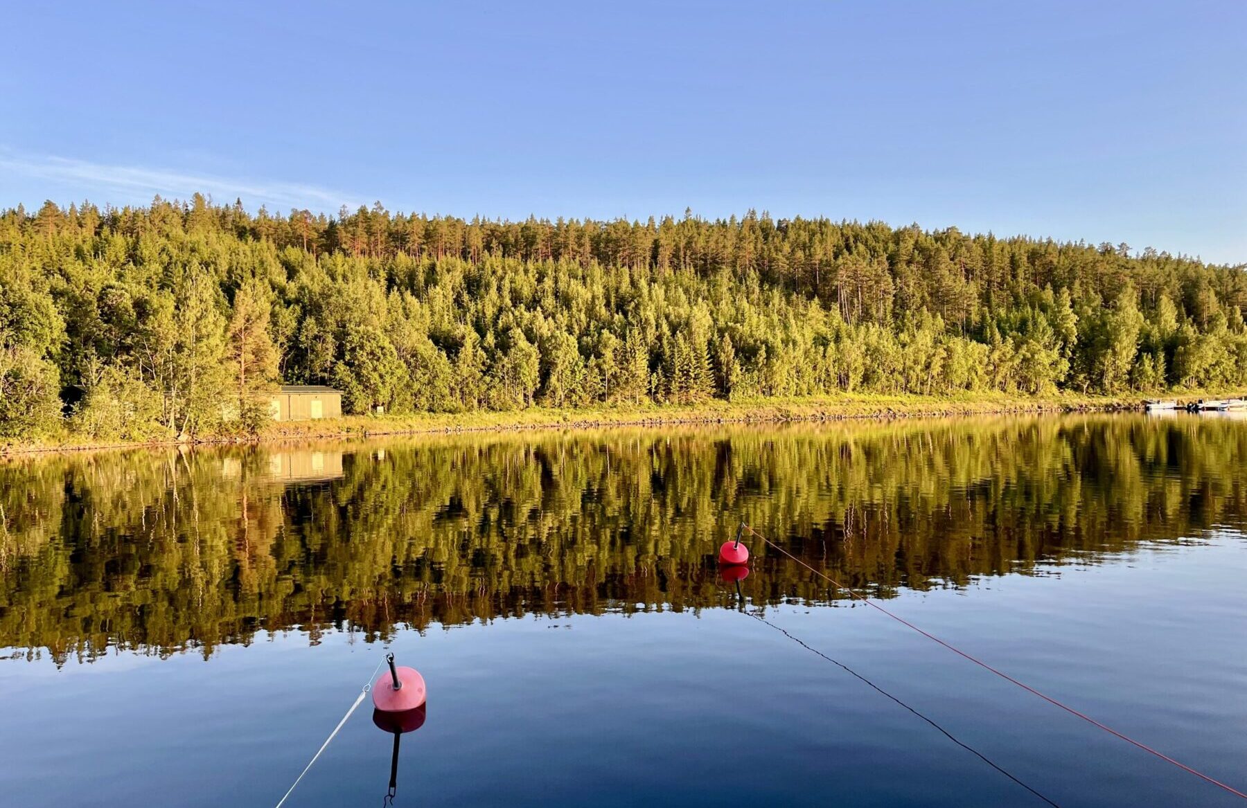 Nein, wir sind nicht aus Belgien