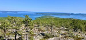 Mehr über den Artikel erfahren Berg mit Aussicht