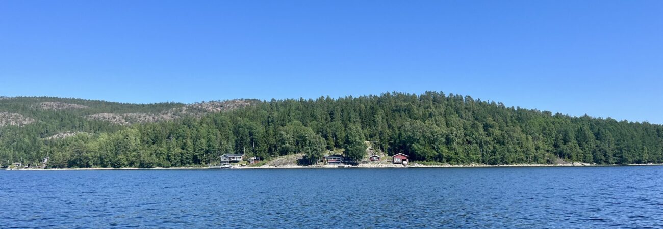 Endlich Sommersegeln