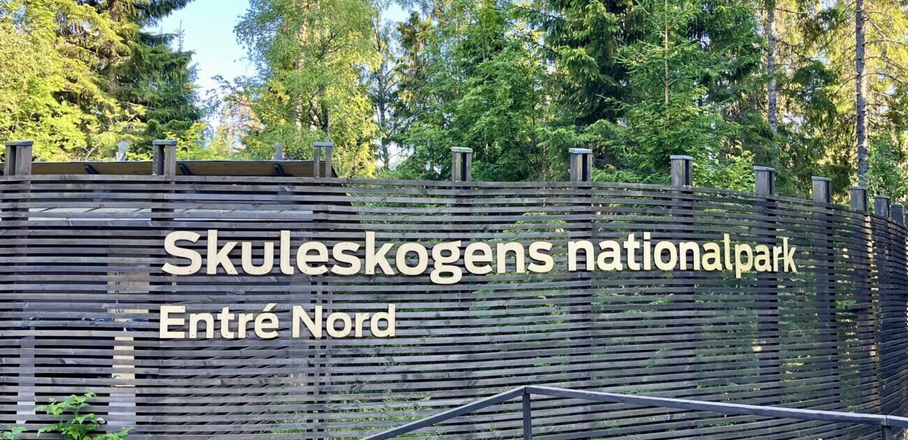 Durch Berg und Tal, über Stock und Stein