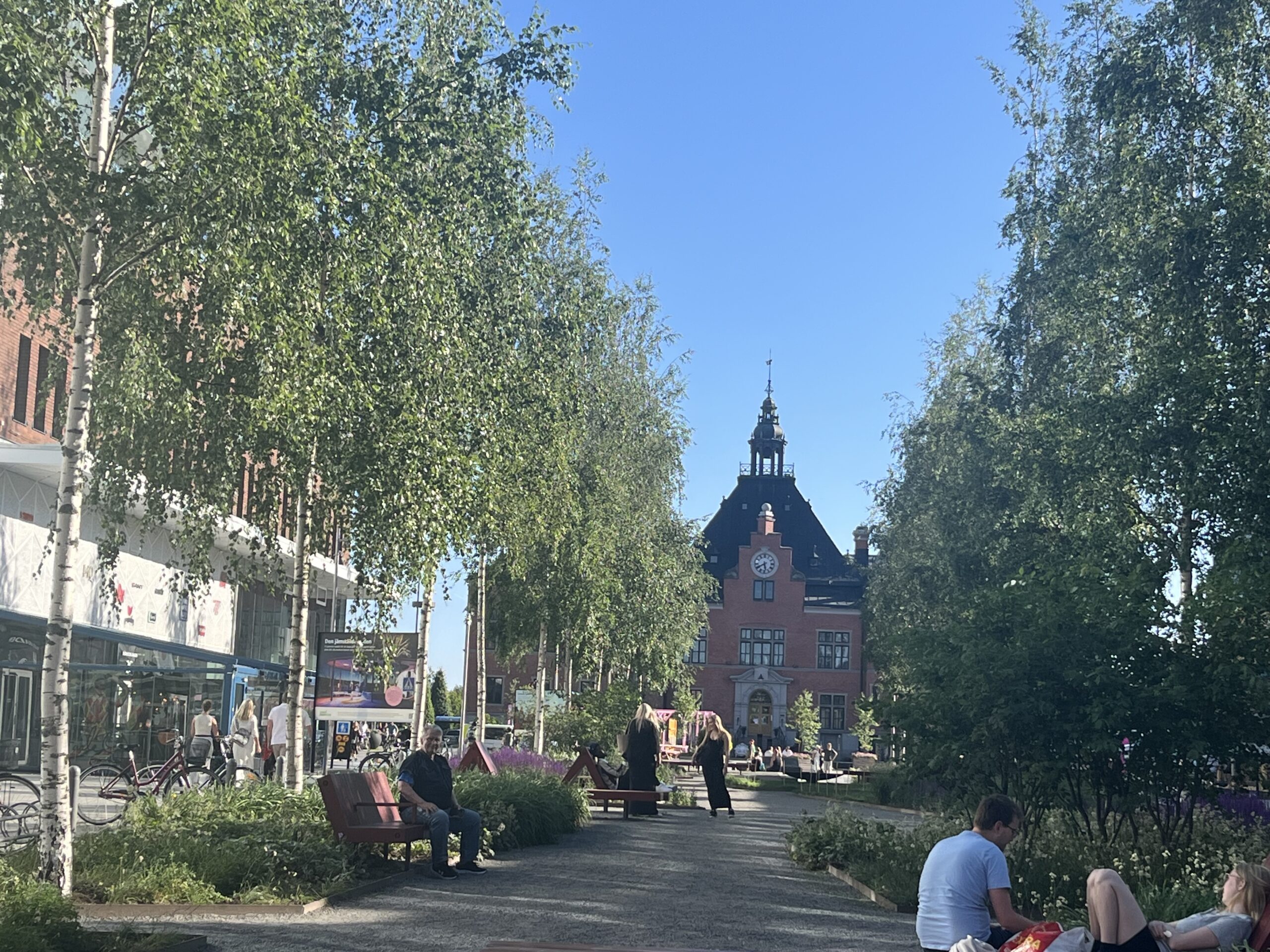 Umeå – Stadt der Birken