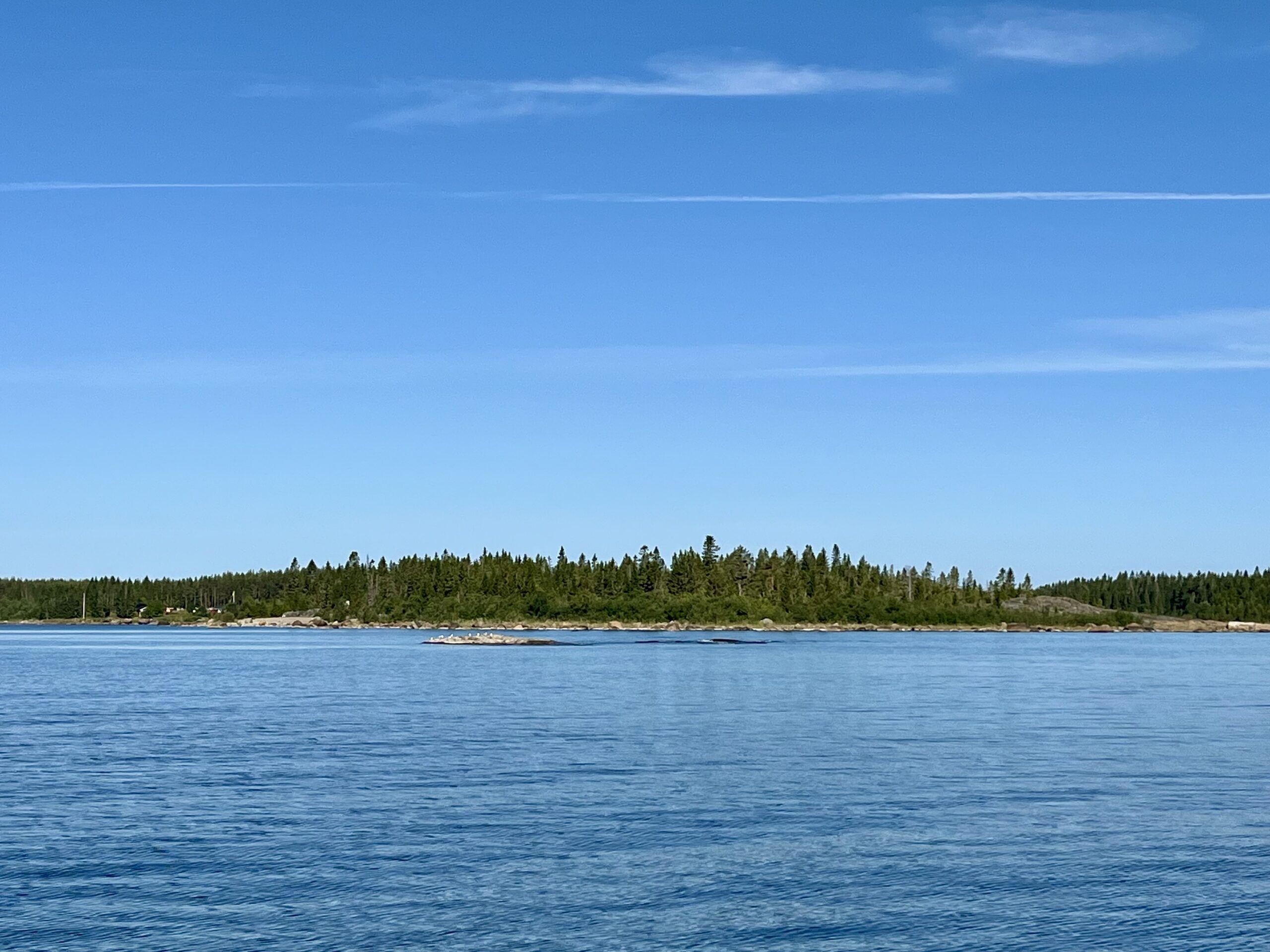 Mit Südwind Stärke Null weiter nach Norden – Bjuröklubb