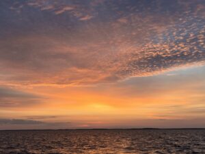 Mehr über den Artikel erfahren Mit Wind und Regen nach Süden