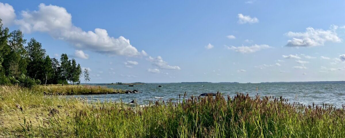 Blaubeermarmelade und tanzende Mädchen