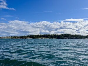 Mehr über den Artikel erfahren Zu Besuch bei einer alten Bekannten