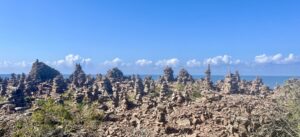 Mehr über den Artikel erfahren Strampeln zur Ostküste