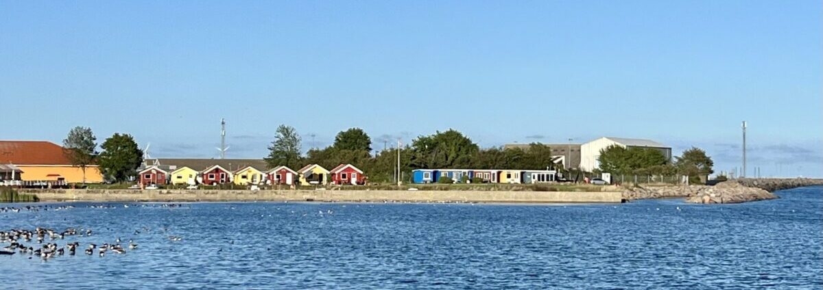 Wenn du den A… nicht auf den Sattel kriegst …